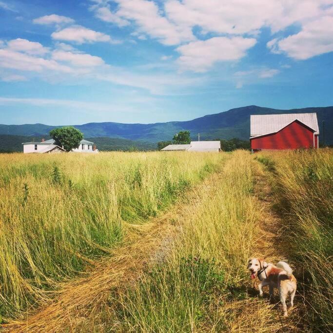 Willa Madeline Farms Luray Zewnętrze zdjęcie