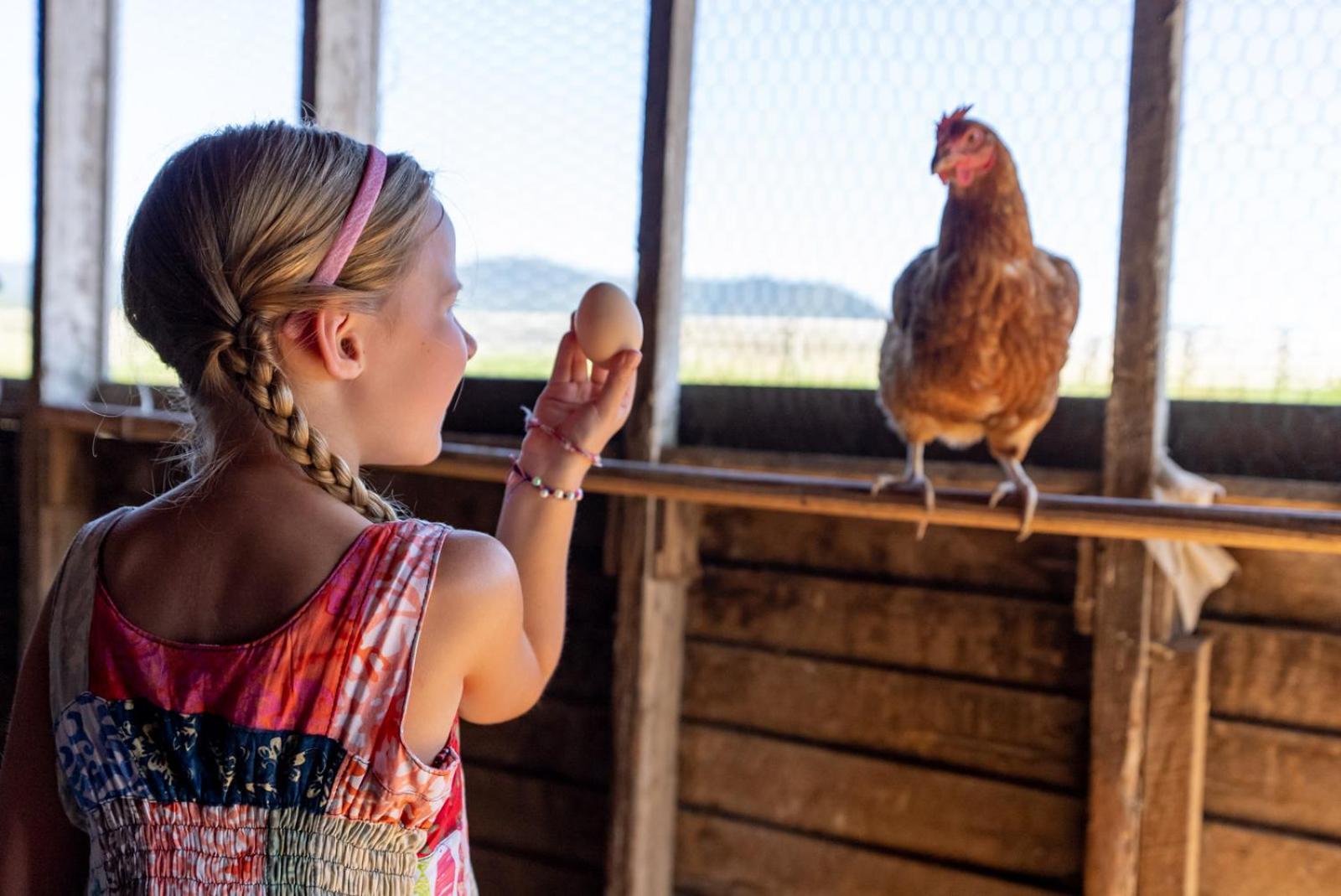 Willa Madeline Farms Luray Zewnętrze zdjęcie