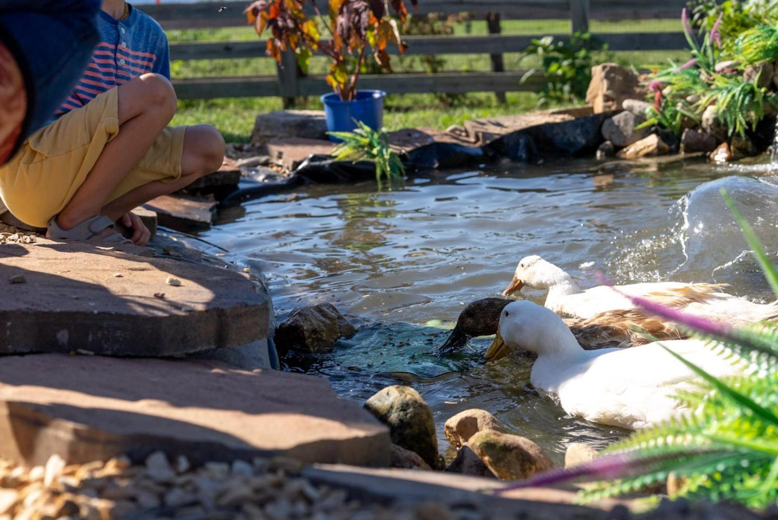 Willa Madeline Farms Luray Zewnętrze zdjęcie
