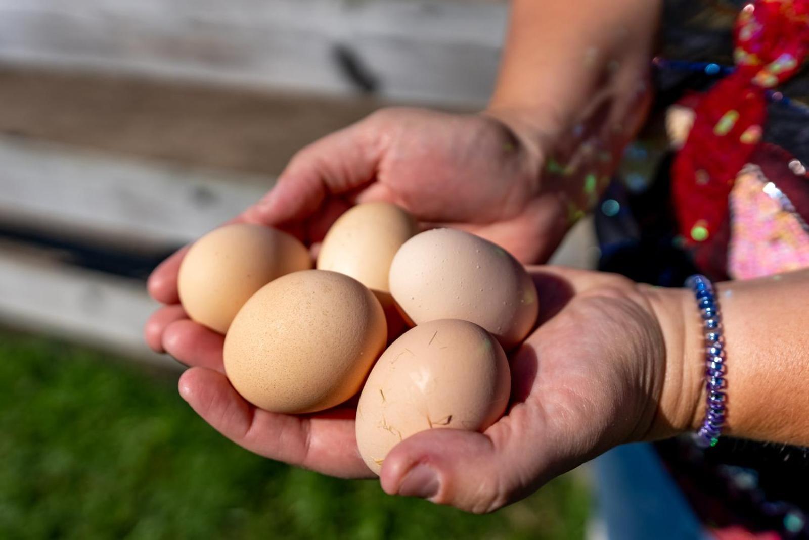 Willa Madeline Farms Luray Zewnętrze zdjęcie