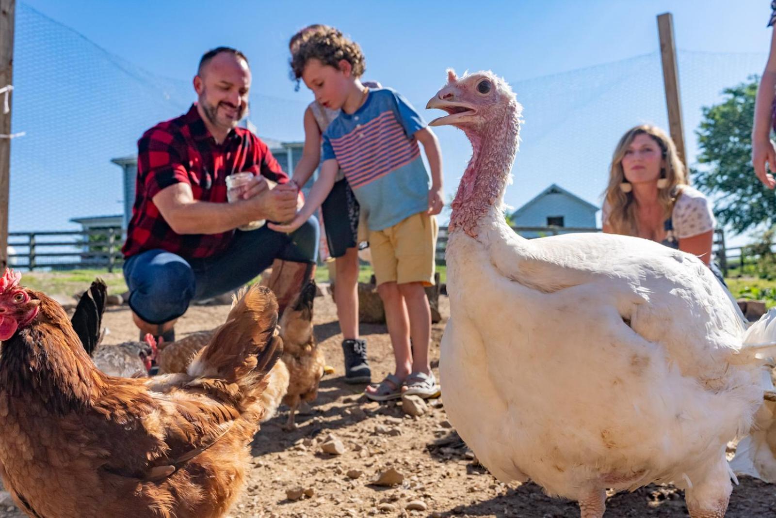 Willa Madeline Farms Luray Zewnętrze zdjęcie