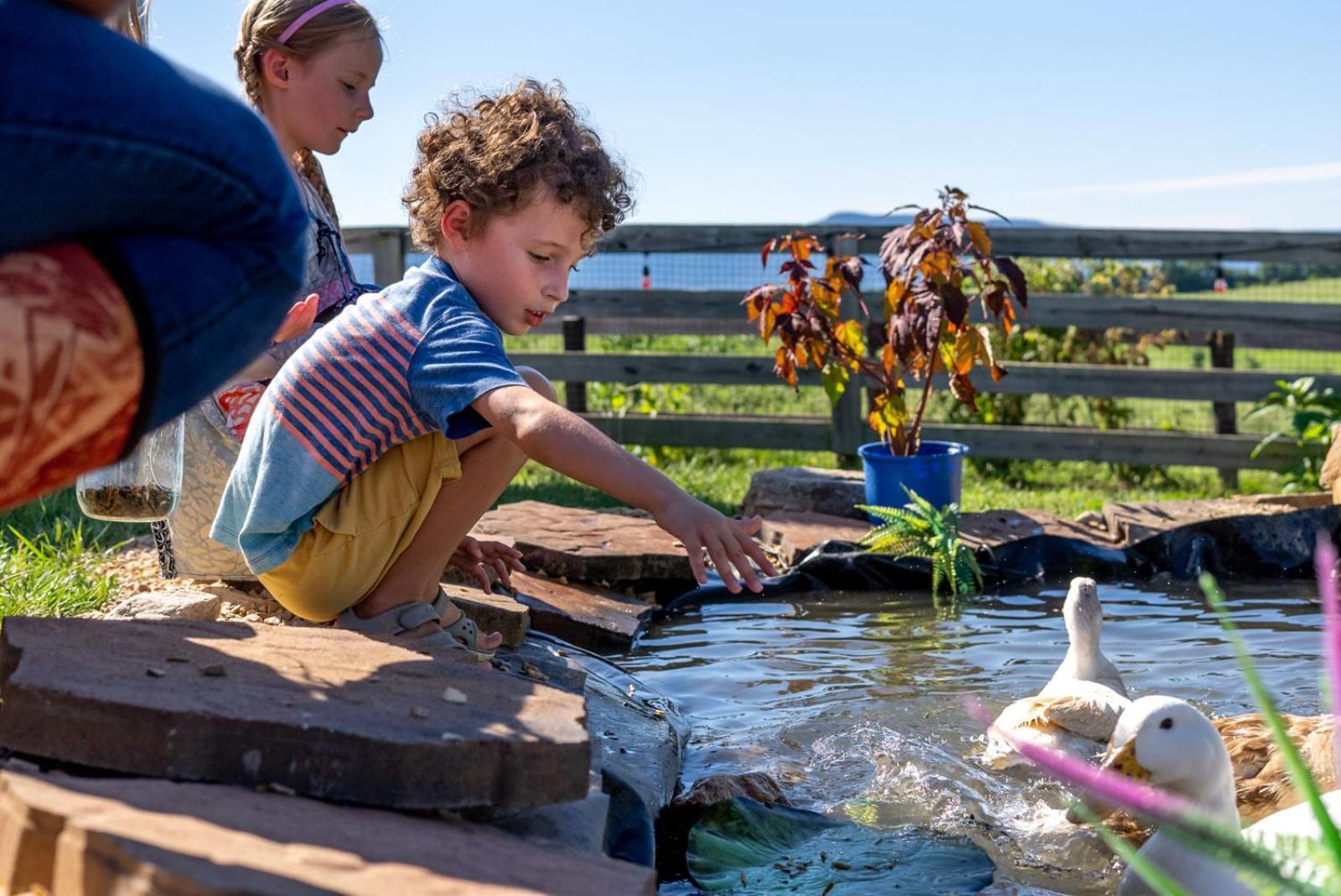 Willa Madeline Farms Luray Zewnętrze zdjęcie