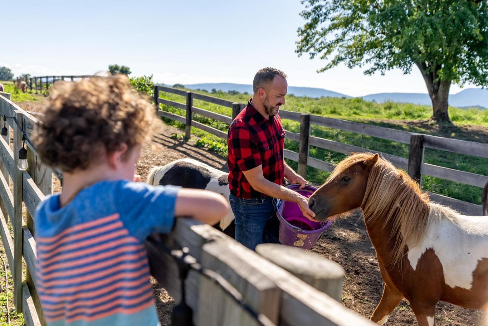 Willa Madeline Farms Luray Zewnętrze zdjęcie